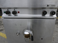 zanussi6